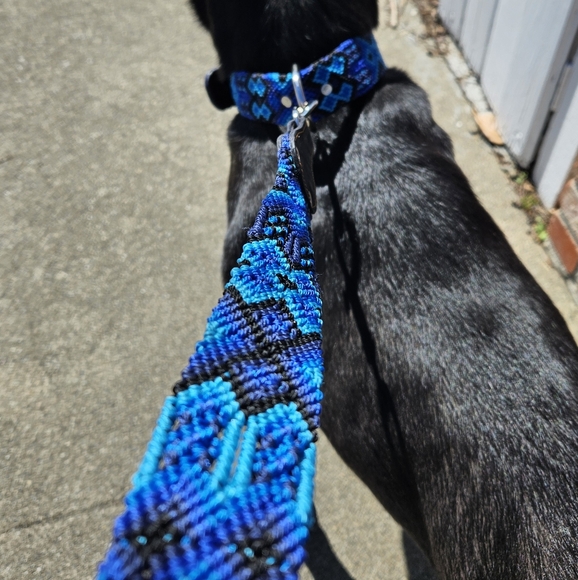 Dog collars and leashes hand-woven by Oaxacan artisans. Rare to find.